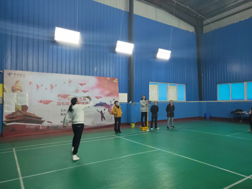 三八女神节羽毛球友谊赛圆满成功